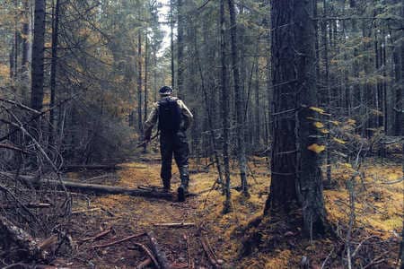 Купить диплом Егеря, лесника в Мытищи