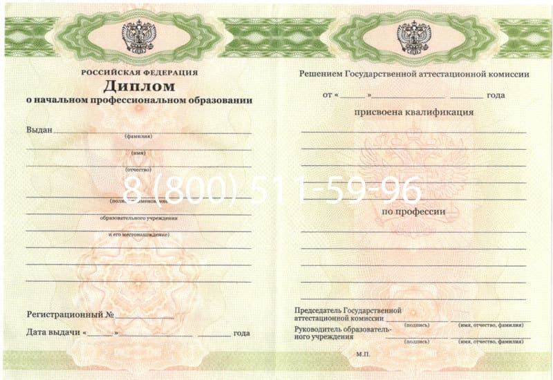Купить Диплом о начальном образовании 2010-2024 годов в Мытищи Купить Диплом о начальном образовании 2010-2024 годов в Мытищи